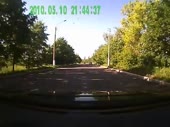 Сбил собаку хозяева сразу на ланасе смылись.mp4