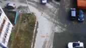 В Казани водитель задавил собаку, отдыхавшую во дворе.mp4