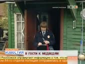 светлана лось пыталась залезть в клетку к медведям“},“param[...].mp4