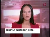 Бумеранг для зоошизы.mp4