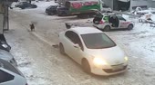 ЖИВОДЕРКА! Сбила собаку и уехала дальше #Живодерка.mp4