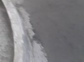 Видео очевидца. Травля собак в Южном. — копия (2).mp4