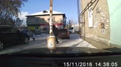задавил собаку.mp4