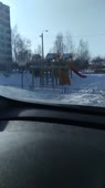 С ножом на собаку. Дмитров, РТС..mp4