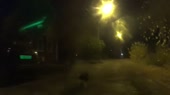 15757417869230.mp4