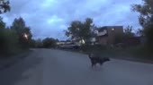 15757439465982.mp4