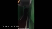 собака рвёт деда. Склейка.mp4
