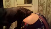 коно.webm