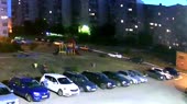 бездомные собаки атаковали детей.mp4