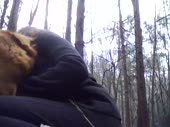 собачница.webm