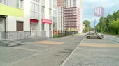 Полицейские застрелили овчарку, покусавшую четырёх людей.mp4