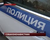 Собакоблядь соснула.mp4