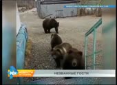 Миша унижает шаней.mp4
