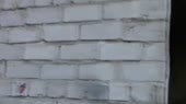 СОБАКА ВНЕЗАПНО НАПАЛА В ХОДЕ РЕПОРТАЖА ¦ ВЫСТРЕЛ.mp4