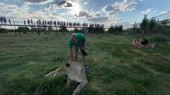 Играем с котейкой.mp4