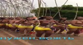 15681958834890.mp4