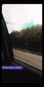 tiktokvideo1602225498.mp4