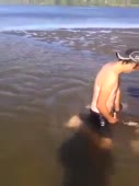 15142890170610.webm
