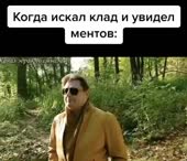 0.mp4