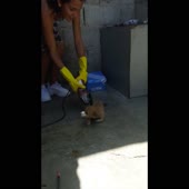 3.mp4