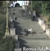 15882733907750.mp4