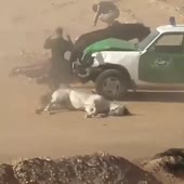 15990771158732.mp4