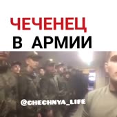 421421321.mp4