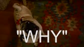 pug party.webm