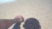 рр.webm