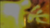14840775955781.webm