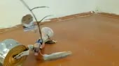 линух.mp4
