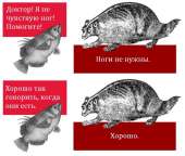 1mG9ygwgZcHe-e1NGwDCIkQ[1].jpeg