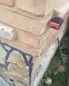 160312891218210.mp4