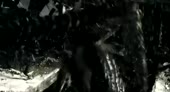 15956925911810.webm