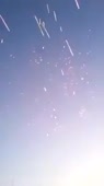 1603155188526.webm