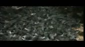 15842518827940.webm
