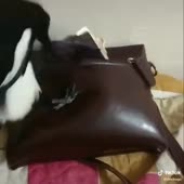 15858203375431.mp4