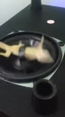 15761013337331.webm