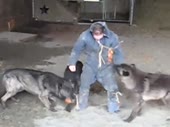 15411426529950.webm
