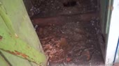 16024778538080.webm
