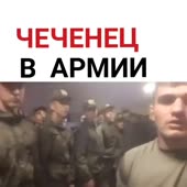 421421321.mp4