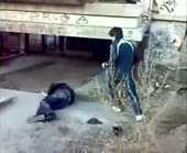 16003775662541.webm