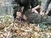 15957129116341.mp4