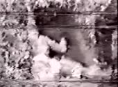 15957129115780.webm