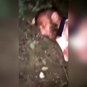 15946166560840.mp4
