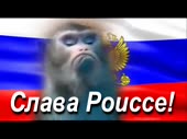 15834110372680.webm