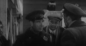 15430165344301.webm