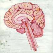 images[1]