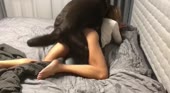 16025670627251.mp4