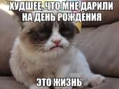 podborka49.jpg